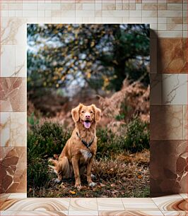 Πίνακας, Happy Golden Dog in Nature Happy Golden Dog στη φύση