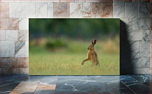 Πίνακας, Hare in the Meadow Λαγός στο Λιβάδι