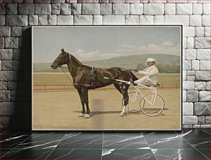 Πίνακας, [Harness race horse and rider]
