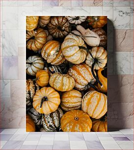 Πίνακας, Harvest of Colorful Gourds Συγκομιδή πολύχρωμων κολοκυθών