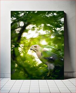 Πίνακας, Hawk in the Foliage Γεράκι στο φύλλωμα