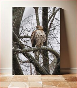 Πίνακας, Hawk in the Winter Forest Γεράκι στο χειμερινό δάσος