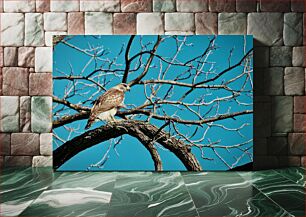 Πίνακας, Hawk on a Tree Γεράκι σε ένα δέντρο