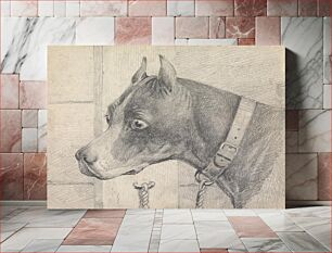 Πίνακας, Head and Shoulders of a Boxer Dog, Profile Left, Wearing a Leather Collar A ttached to a Ring Post