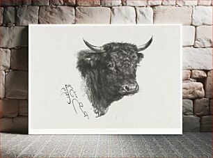 Πίνακας, Head of a Bull by Marie Rosalie Bonheur