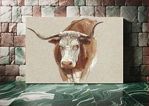 Πίνακας, Head of a Cow or Ox (1871) by Samuel Colman