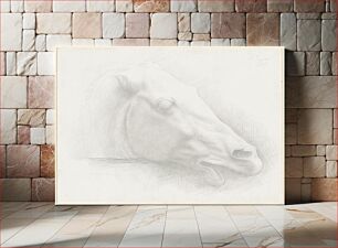 Πίνακας, Head of a Horse from the Parthenon (1898) by Alphonse Legros