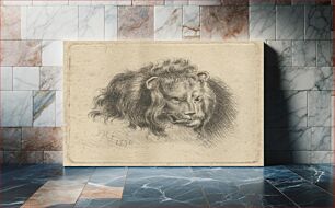 Πίνακας, Head of a Lion