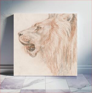 Πίνακας, Head of a Male Lion