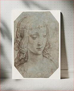 Πίνακας, Head of a young woman by Giampietrino
