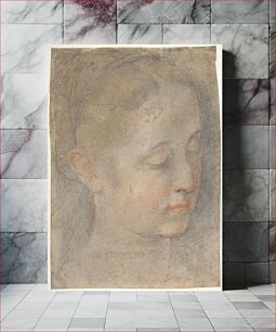 Πίνακας, Head of a Young Woman Looking to Lower Right by Federico Barocci