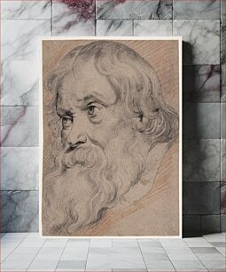 Πίνακας, Head of an elderly, bearded man, three-quarter profile t.v