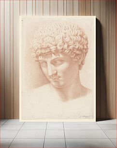 Πίνακας, Head of Apollo by Giuseppe Longhi