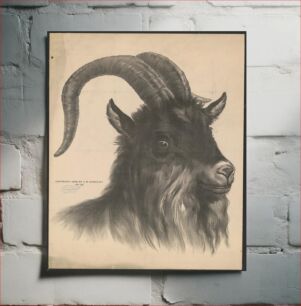 Πίνακας, [Head of bock goat, unprinted advertisement], 40-40