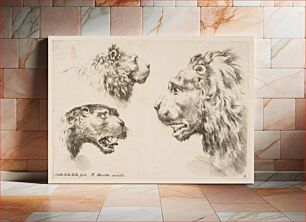 Πίνακας, Heads of Three Lions