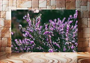 Πίνακας, Heather Flowers in Bloom Λουλούδια Heather in Bloom