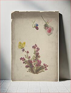 Πίνακας, Heather, Sweet Peas and Butterfly, Anonymous, British, 19th century