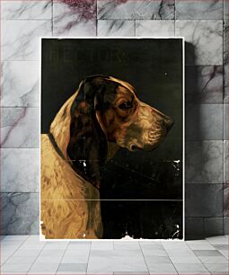Πίνακας, Hector (dog's head)