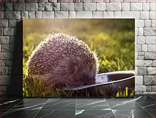 Πίνακας, Hedgehog Enjoying a Meal Σκαντζόχοιρος που απολαμβάνει ένα γεύμα