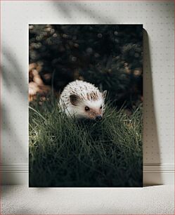 Πίνακας, Hedgehog in Grass Σκαντζόχοιρος στο γρασίδι