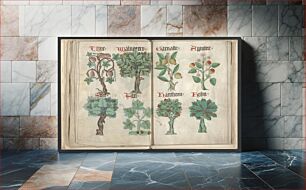Πίνακας, Helmingham herbal and bestiary (1500)