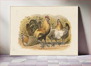 Πίνακας, Hens and rooster