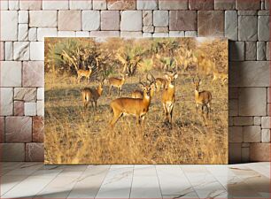 Πίνακας, Herd of Deer in the Wild Κοπάδι ελαφιών στην άγρια ​​φύση