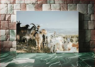 Πίνακας, Herd of Goats in a Field Κοπάδι κατσικιών σε χωράφι