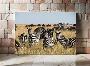 Πίνακας, Herd of Zebras in the Grassland Κοπάδι Ζέβρες στο Λιβάδι