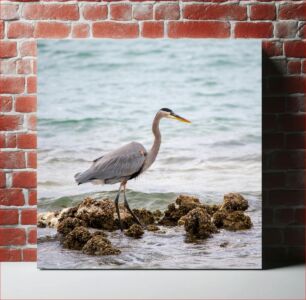 Πίνακας, Heron by the Sea Ερωδιός δίπλα στη θάλασσα