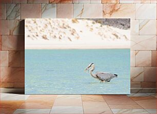 Πίνακας, Heron Fishing in Clear Waters Ερωδιός που ψαρεύει σε καθαρά νερά