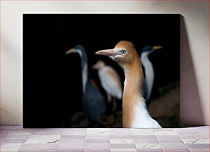 Πίνακας, Heron Focus Ερωδιός Εστίαση