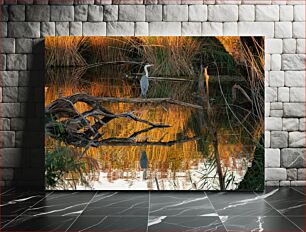 Πίνακας, Heron in Autumn Wetlands Ερωδιός σε φθινοπωρινούς υγροτόπους