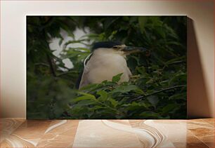 Πίνακας, Heron in Foliage Ερωδιός στο φύλλωμα