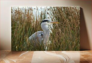 Πίνακας, Heron in Marshland Ερωδιός στην ελώδη χώρα