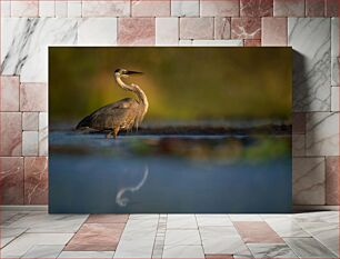 Πίνακας, Heron in Shallow Water Ερωδιός σε ρηχά νερά