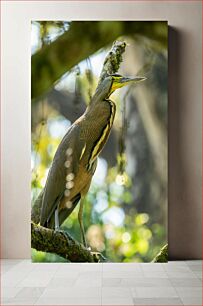 Πίνακας, Heron in the Forest Ερωδιός στο Δάσος