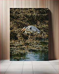 Πίνακας, Heron in the Marsh Ερωδιός στο έλος