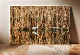 Πίνακας, Heron in the Reeds Ερωδιός στα καλάμια