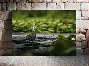 Πίνακας, Heron in the Wetlands Ο ερωδιός στον υγρότοπο
