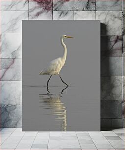 Πίνακας, Heron in Tranquil Water Ερωδιός σε ήρεμο νερό