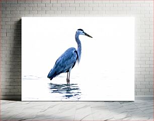 Πίνακας, Heron in Water Ερωδιός στο νερό
