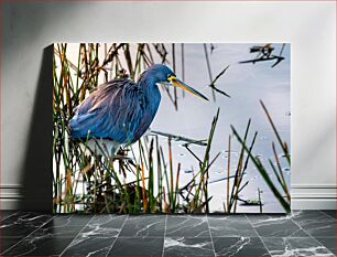 Πίνακας, Heron in Wetlands Ερωδιός σε Υγροτόπους