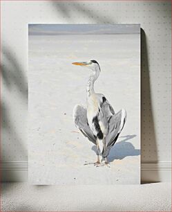Πίνακας, Heron on the Beach Ο Ερωδιός στην Παραλία