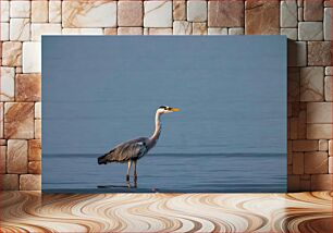 Πίνακας, Heron Standing in Water Ερωδιός που στέκεται στο νερό