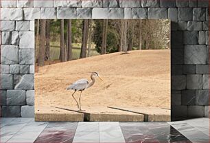 Πίνακας, Heron Walking in the Park Ερωδιός που περπατά στο πάρκο