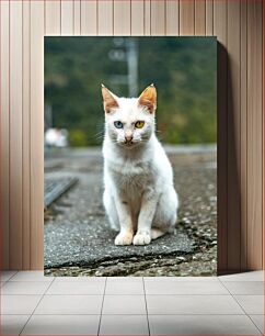 Πίνακας, Heterochromatic Cat Ετεροχρωματική Γάτα