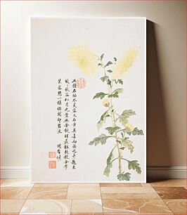 Πίνακας, Hibiscus from a Flower Album of Ten Leaves (1656) by Xiang Shengmo