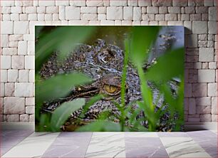 Πίνακας, Hidden Crocodile in the Marsh Κρυμμένος κροκόδειλος στο έλος