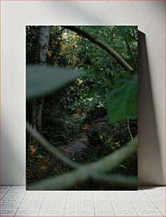 Πίνακας, Hidden Forest Path Κρυφό Δασικό Μονοπάτι